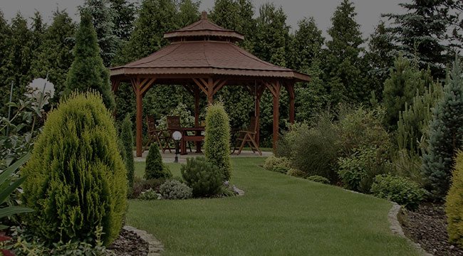 Norfolk Garden Design